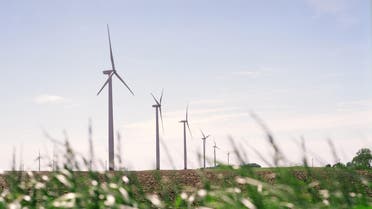 This undated photo made available by Iberdrola Renewables LLC shows wind turbines on a corn and soybean farm in Trimont, Minn. AP