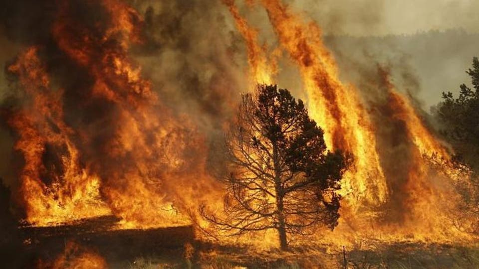 حريق غابات يهدد آلاف المنازل في مدينة جنوب كاليفورنيا