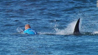 ‘I was waiting for the teeth:’ Surfer fights off shark attack on live TV