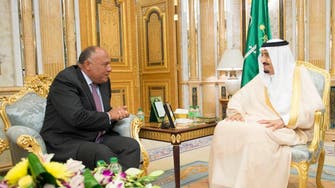 Saudi king meets Egyptian foreign minister 