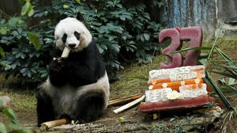 Hong Kong giant panda Jia Jia becomes oldest ever 