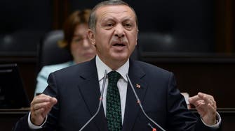 Erdogan wants early Turkish elections if no coalition