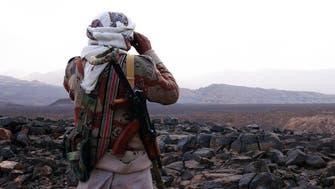 Yemen fighters ‘liberate’ southern province