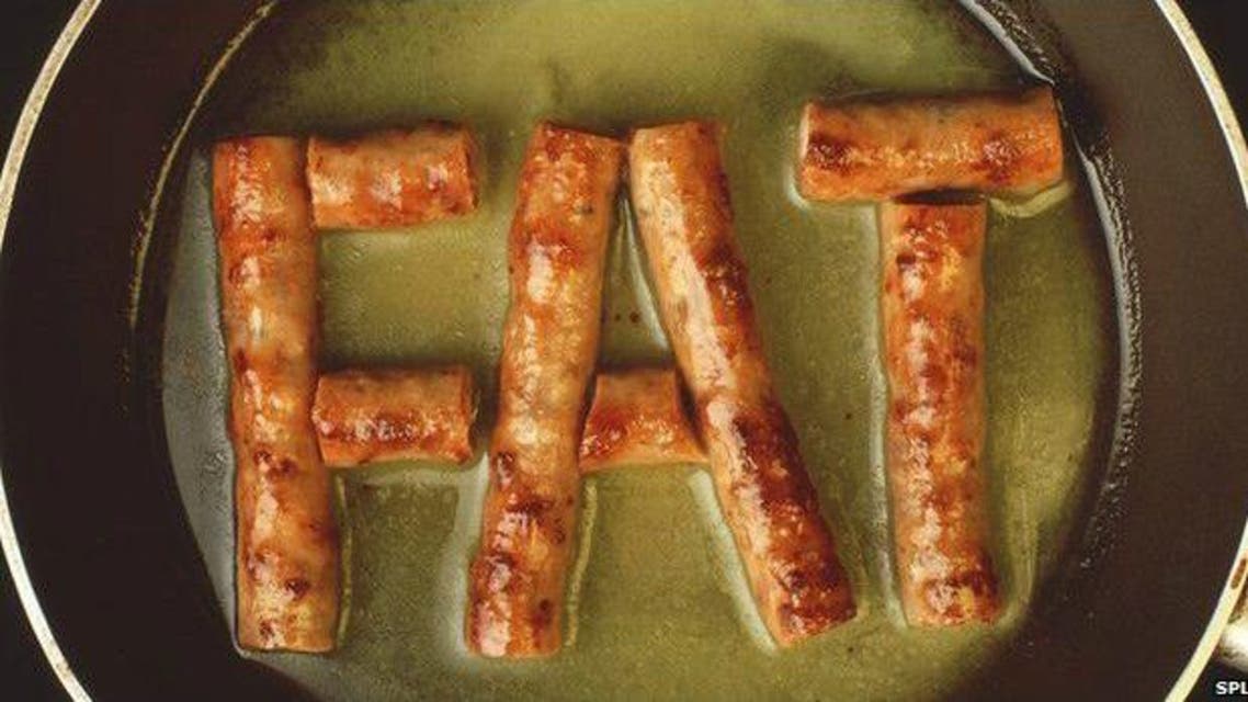 دهون fat