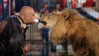 Heart-stopping moment Egyptian feeds lion holding blade in his teeth