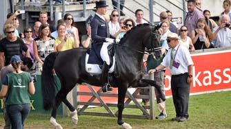 Legendary $11 mln black horse ‘Totilas’ retired