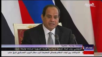 Sisi and Putin call for anti-terror Mideast coalition