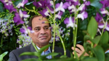 Egyptian President Abdel-Fattah el-Sissi views the Dendrobium Abdel Fattah el-Sissi, an orchid named in his honor. (AP)
