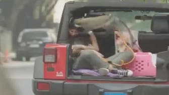 بالفيديو.. قرد يهاجم غادة عادل أثناء تصوير مشهد 