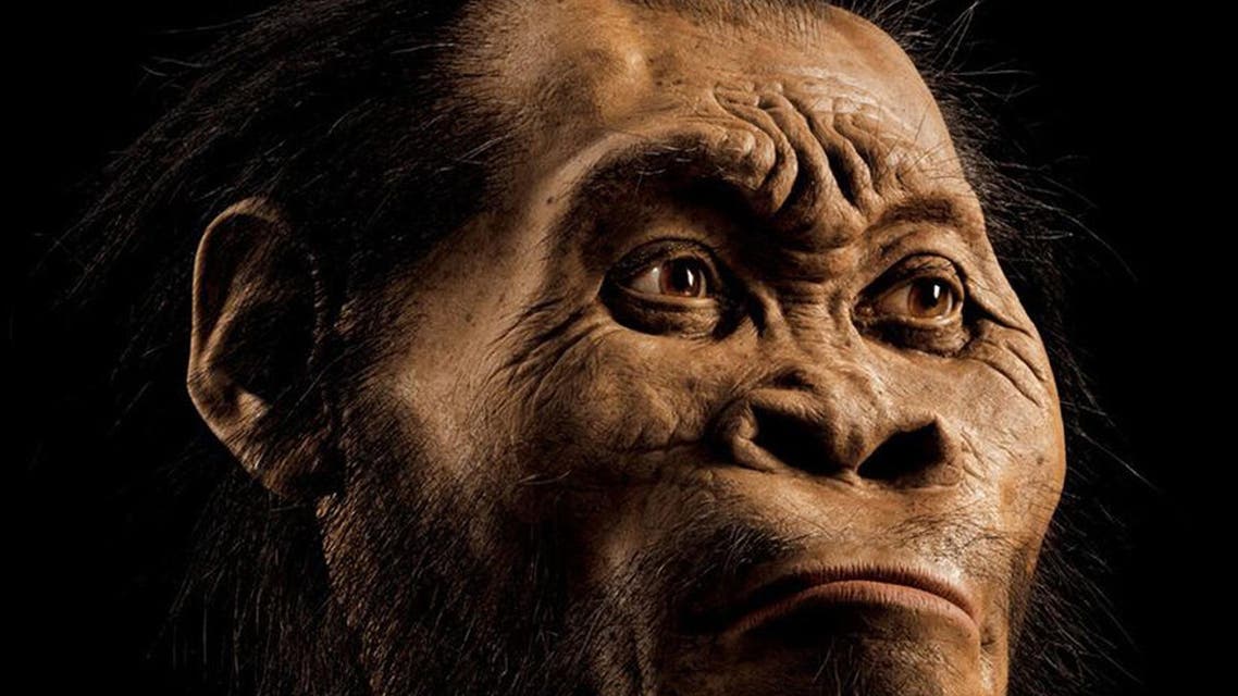 SAF19 - TRUMANSBURG, -, UNITED STATES : This March 2015 photo provided by National Geographic from their October 2015 issue and made available on September 10, 2015 shows a reconstruction of a Homo naledi face by paleoartist John Gurche at his studio in Trumansburg. The fossilised bones of 15 members of a previously unknown branch of the human family tree have been discovered in a cave in South Africa, scientists said on September 10, 2015, hailing the find as a breakthrough in evolution research. About 1,500 fossils were found deep in a cave system outside Johannesburg, hidden in a chamber only accessible via several steep climbs and narrow rock crevasses. The hominid -- described as a "new species" of human -- has been named Homo naledi after the "Rising Star" cave where the bones were found. Naledi means "star" in Sesotho, a local South African language. AFP PHOTO/HO/NATIONAL GEOGRAPHIC/MARK THIESSEN