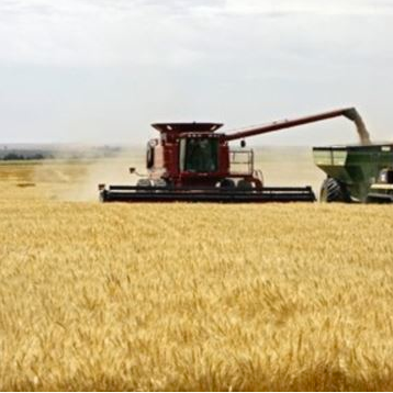 هذه الدول الأكثر تأثرا من توقف صادرات القمح الأوكراني والروسي