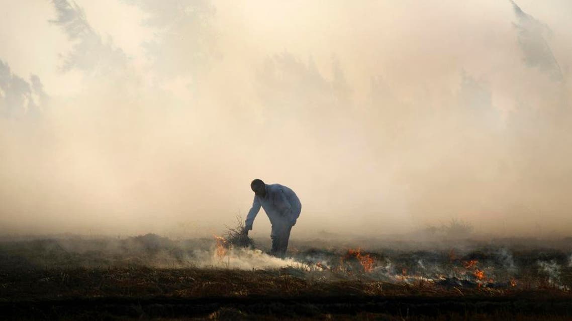 An Egyptian rice farmer burns hay in a field, the traditional method of clearing fields before planting new crops. (File photo: AP)