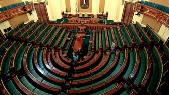 Former Egyptian general sees his bloc leading new parliament