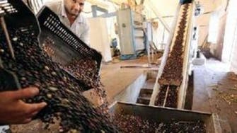 Agriculture exports boost Tunisia’s economy 