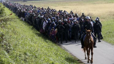 A mounted policeman leads a group of migrants near Dobova, Slovenia. (Reuters)