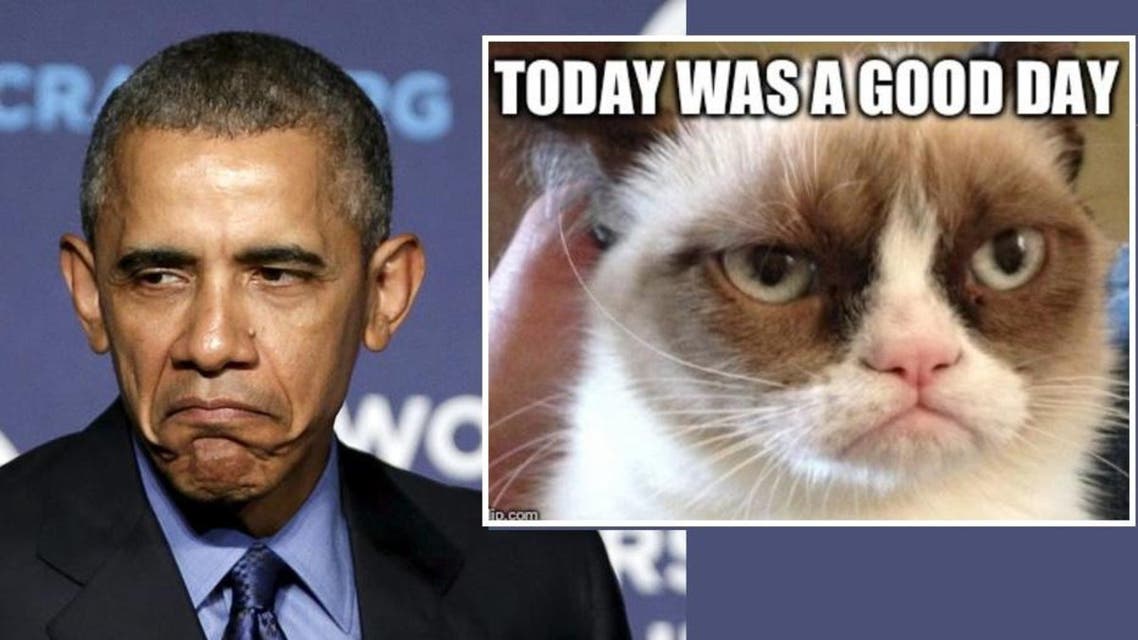 Republicans? They're like the Grumpy Cat meme, Obama says | Al Arabiya  English