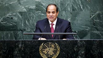 What can Egypt bring to the U.N. Security Council?