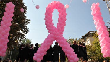 Woman's choir draped with pink scarfs perform during the breast cancer awareness campaign in Kosovo capital Pristina on Friday Oct. 5, 2012. ( AP )