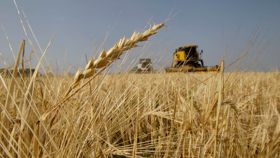 Farmers bring in the harvest with their combine harvesters, background, on a barley field near the village of Uzunovo in Moscow region, 170 km (105 miles) south of Moscow, Wednesday, Aug. 11, 2010. Last week, Moscow announced a ban on grain exports due to a severe drought that has reduced this year's estimated harvest by a third. (AP Photo/Ivan Sekretarev)