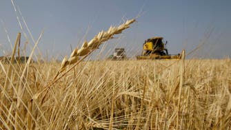 Russia confirms sending wheat to Syria as aid 