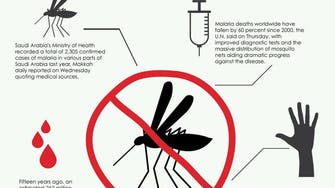 Thousands of malaria cases confirmed in Saudi Arabia last year