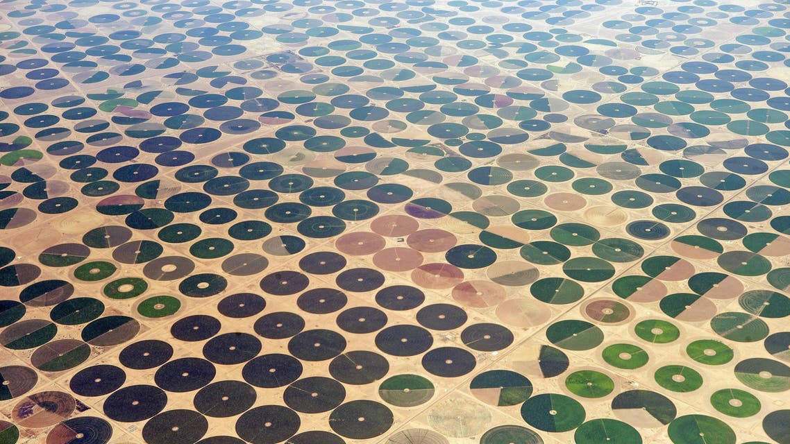 A general view of farms in northern Saudi Arabia, Thursday, Sept. 11, 2014. (AP)
