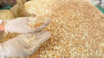 Saudi customs crack smuggling ring’s massive drugs haul