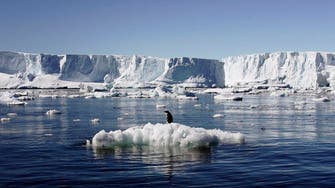 Antarctic sea ice cover at record low: EU monitor