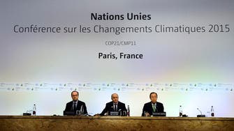 Actions urged on ‘breaking point’ climate change