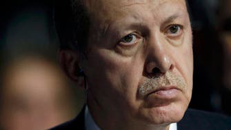 Turkish court asks ‘Gollum experts’ to decide if Erdogan was insulted 