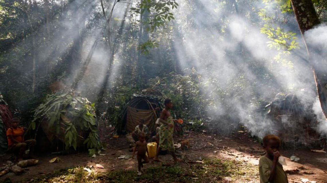 The earth has lost more than half its forests over the course of human history, according to the World Resources Institute AP