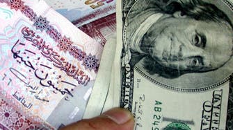 Egyptian pound steady at forex auction, dips on black market