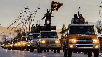 ISIS lost 14 pct of its territory in 2015: report