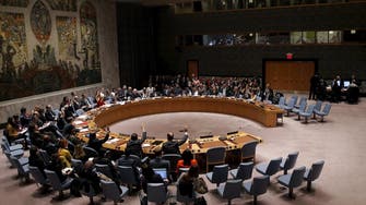 U.N. council endorses Syria peace plan