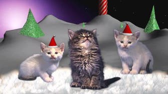 Christmas cheer: Jingle Cats go animated for holiday song 