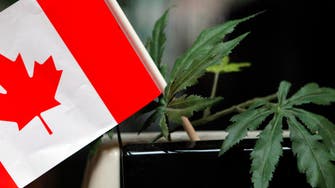 Canada’s marijuana industry lights up as legalization loo‎ms