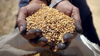 Egypt to issue letters of credit for delayed wheat shipments on Wednesday