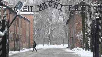 Ex-Auschwitz medic, 95, to go on trial for complicity in 3,681 murders