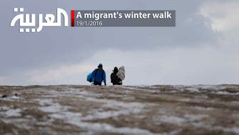 A migrant's winter walk