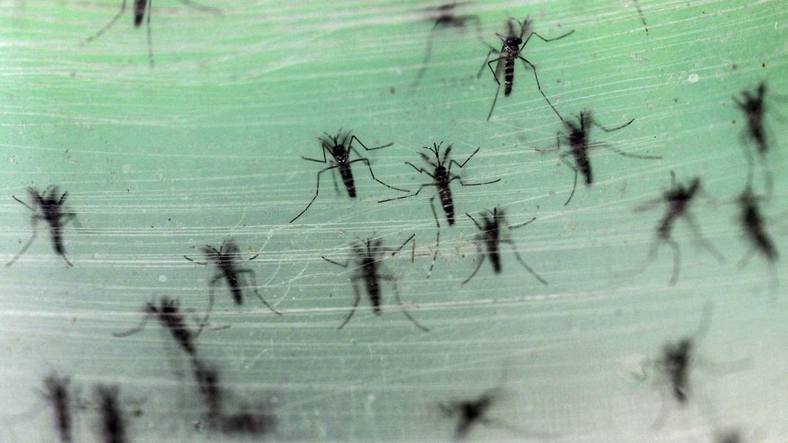 Efforts to control the disease have made significant progress in the last 15 years, but are threatened by the spread of resistance to antimalarial drugs and to insecticide. (Reuters)