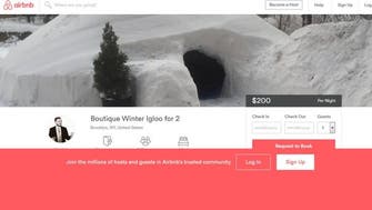 Quick buck from ‘Snowzilla?’ New Yorker lists $200-a-night igloo  