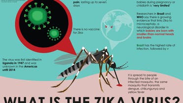Infographic: What is the Zika virus?