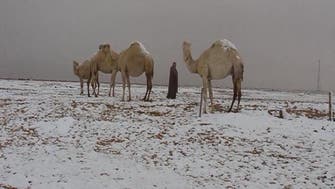 Saudis cheer rare snow in the kingdom’s north  