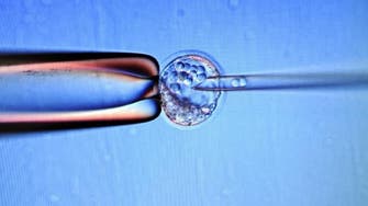 Britain grants first licence for genetic modification of embryos
