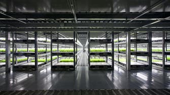 World’s first ‘robot run’ farm to open in Japan 