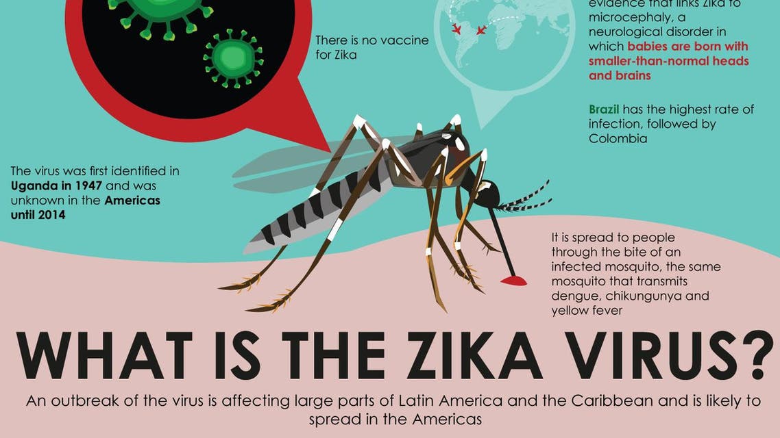 Infographic: What is the Zika virus?