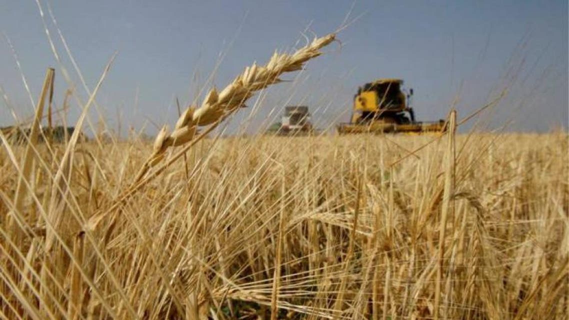 Grain (Reuters)