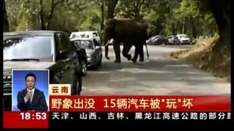 They never forget? Heartbroken Chinese elephant crushes cars 