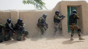 Cameroon forces kill 162 Boko Haram extremists, retake town