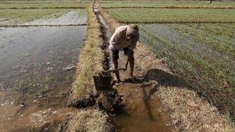Better water management could halve global food deficit